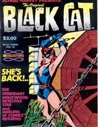 The Original Black Cat